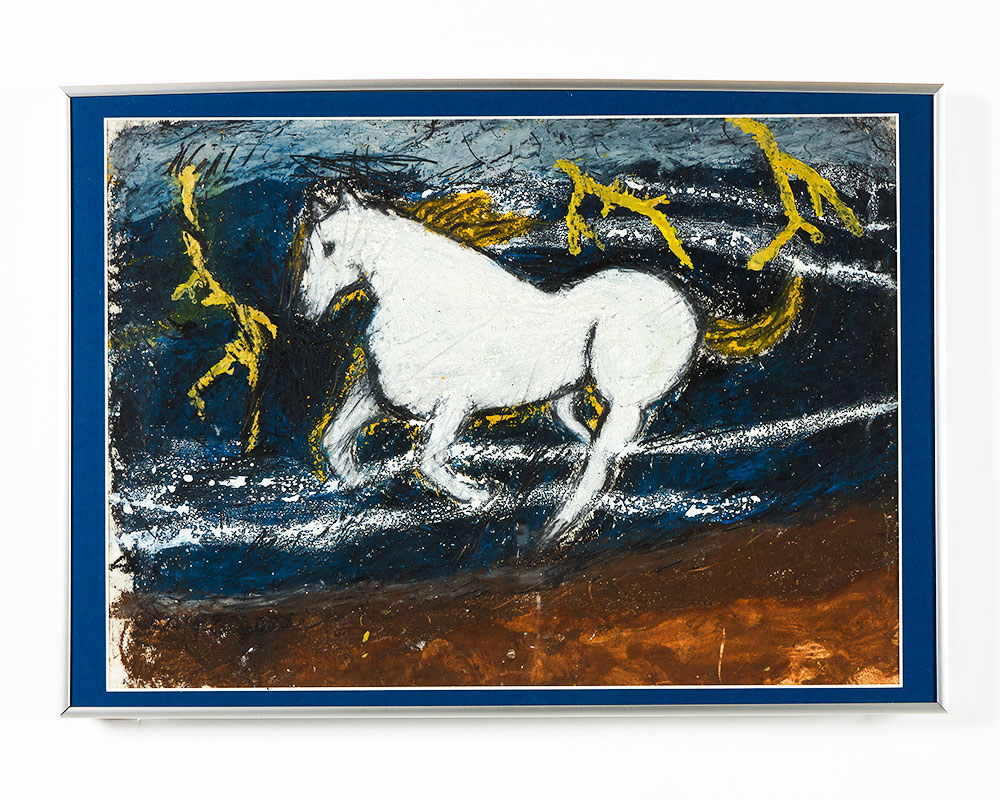 白馬・嵐を駆ける